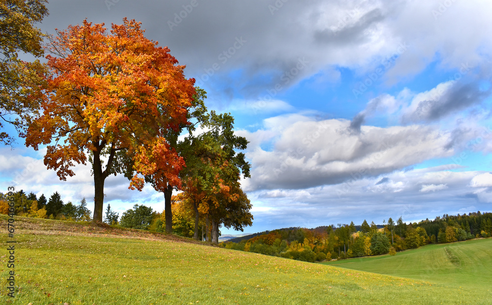 Autumn landscape with natural colors of trees, natural wavy scene, sky with clouds, picturesque view Autumn landscape with natural colors of trees, natural wavy scene, sky with clouds, picturesque view
