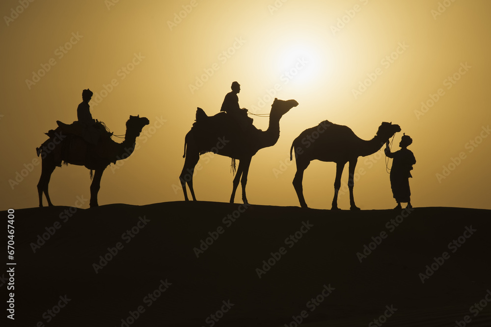 Fototapeta premium Camels at sunset in the Thar desert, Rajasthan, India
