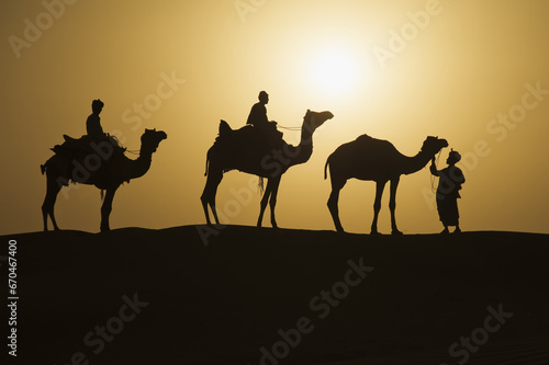 Camels at sunset in the Thar desert, Rajasthan, India