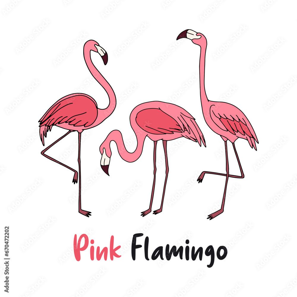 Obraz premium Pink Flamingo T-shirt Design For Flamingo Lovers