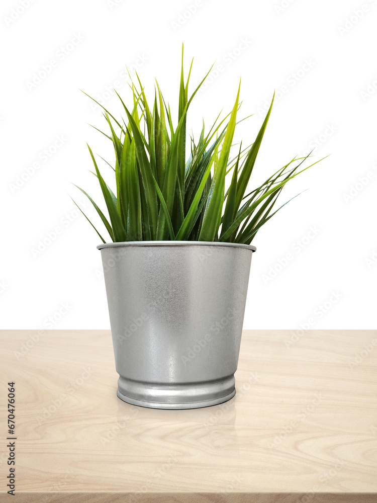 green plants in pots decorative plant pots On a wooden table, PNG transparent green plants in pots decorative plant pots On a wooden table, PNG transparent