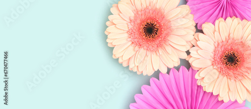 Banner with gerbera flowers and tissue paper fans on a blue background. Festive composition.