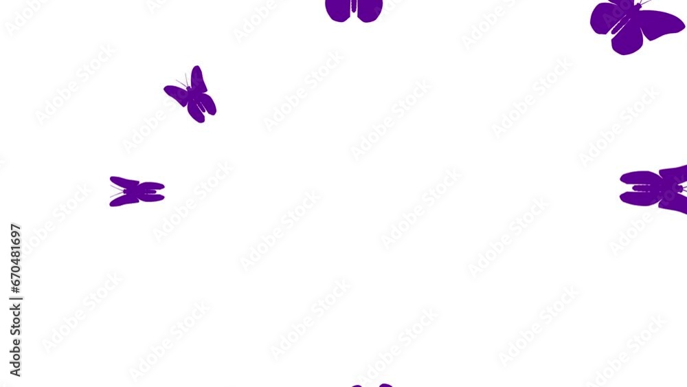Animated violet butterflies fly from center. Vector illustration isolated on white background. Animated violet butterflies fly from center. Vector illustration isolated on white background.
