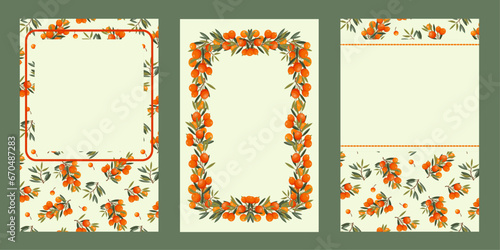Vector frames sea buckthorn patterns