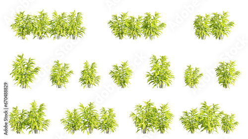 set of shrubs, 3D rendering with transparent background, for illustration, digital composition, architecture visualization