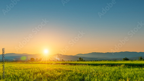 Green rice field with sunset skyac background. Countryside landscape.