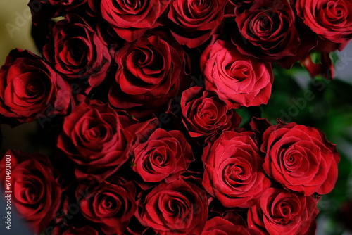 Fototapeta Naklejka Na Ścianę i Meble -  red rose
