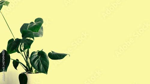 Yellow Podium Product Backdrop,Summer Background Pattern Abstract Overlay Sun Light with Shodow Leaves,Kitchen Counter Bar Shelf Wall Floor Table Desk Space,Cement Concrete Autumn Plant Tropical.