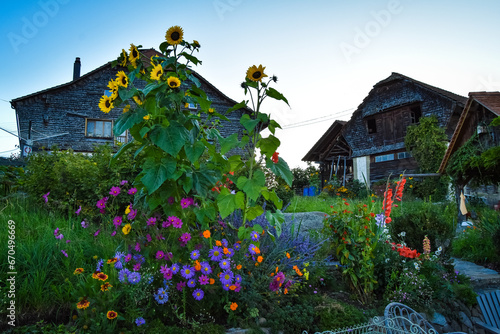 Le Mouret Fields, Switzerland photo