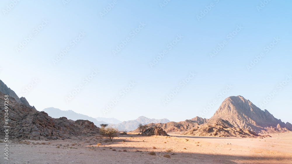 Panoramic view on sand, mountains hills, dry plants in South Sinai desert, Egypt.