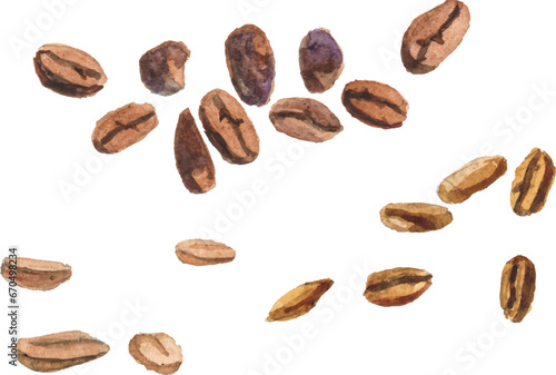 Abstract vector watercolor illustration of coffee beans. Hand drawn nature design elements isolated on white background.