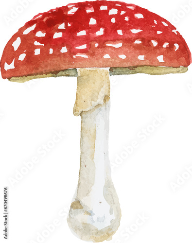 Abstract vector watercolor illustration of autumn mushrooms. Hand drawn nature design elements isolated on white background.