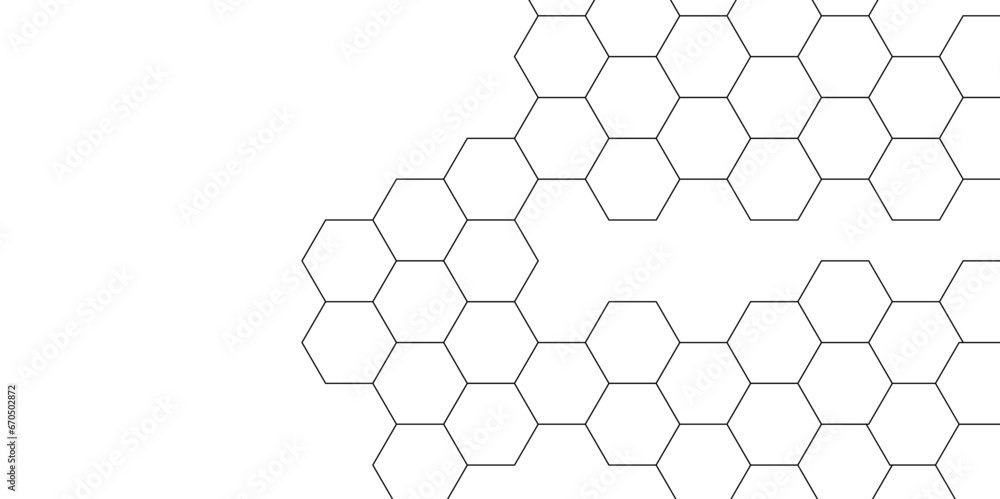 Abstract background with hexagon, modern abstract vector polygonal pattern. Futuristic abstract honeycomb technology white background. Luxury white hexagon pattern. Abstract background with hexagon, modern abstract vector polygonal pattern. Futuristic abstract honeycomb technology white background. Luxury white hexagon pattern.