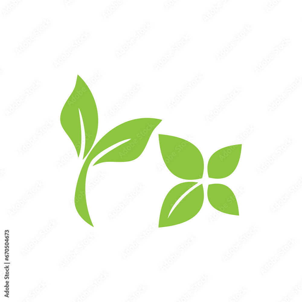 Leaf icon isolated on white background
