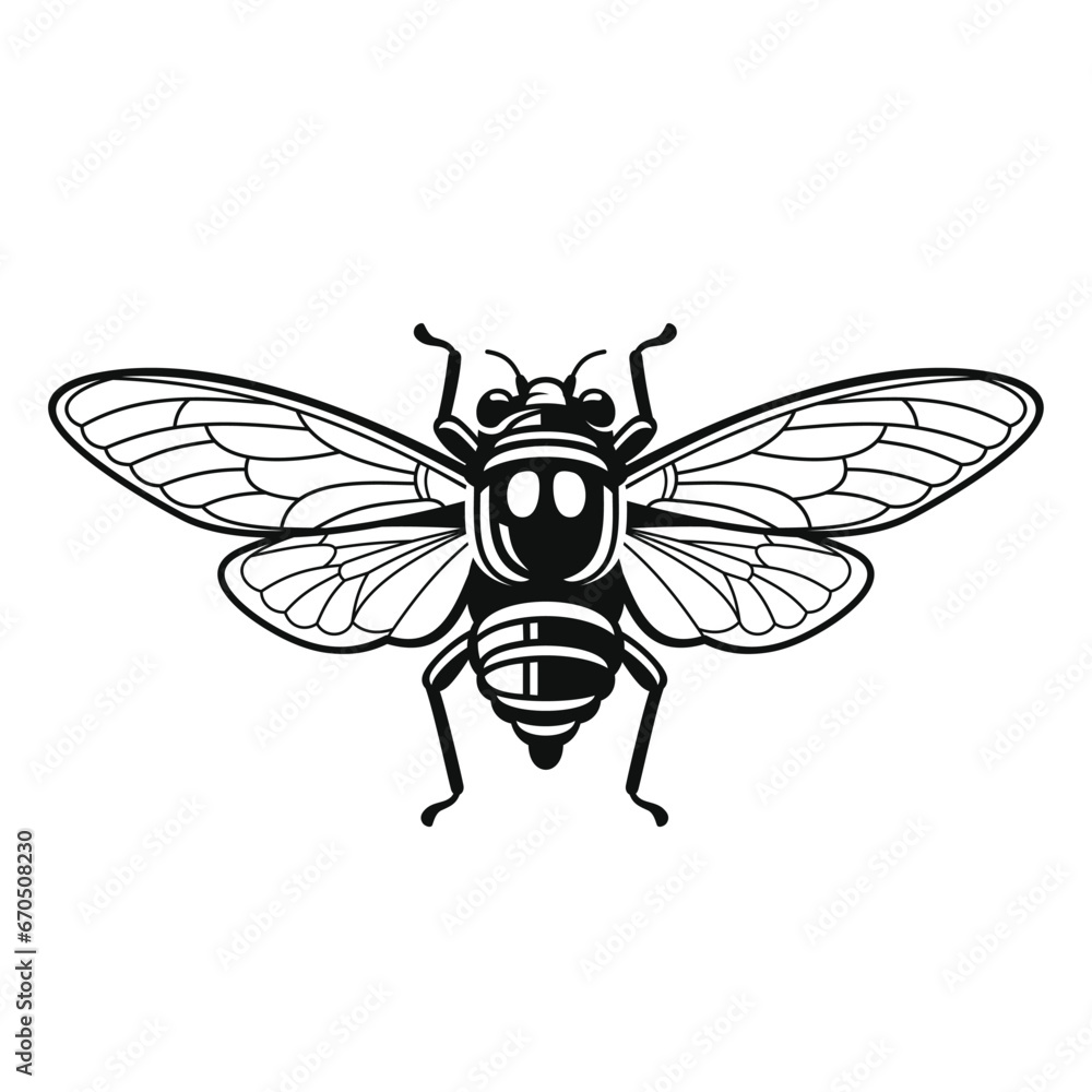 Cicada Insect on White Background. Vector Cicada Insect on White Background. Vector