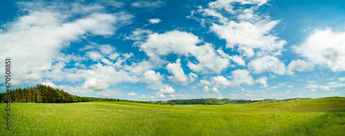 Vast green meadow with blue sky and scenic horizon over land.