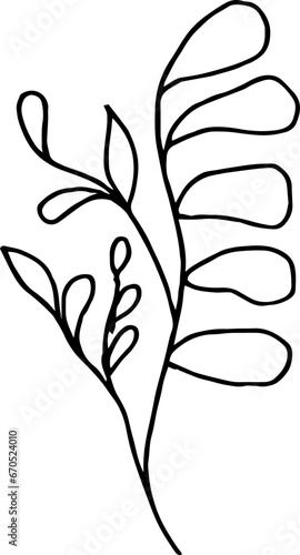 Single flower, hand-drawn. Botanical illustration. Vector design 