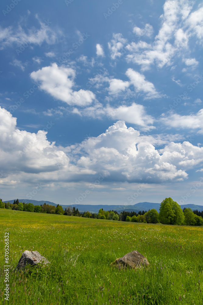 Fototapeta premium Typicallandscape near Modrava, Nation park Sumava, Czech Republic