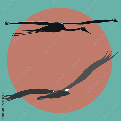 Traditional Japanese birds: crane and Steller's eagle. Vector illustration.