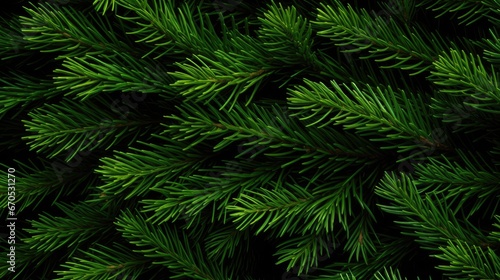 Texture background in the form of branches from Christmas trees. New Year s mood concept.