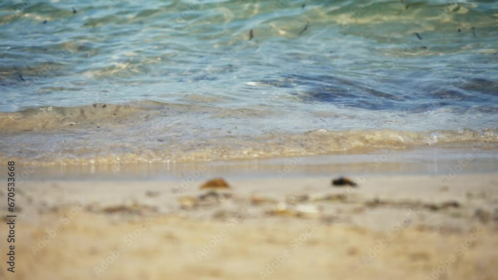 Sandy beach contaminated with human waste. Sandy beach contaminated with human waste.