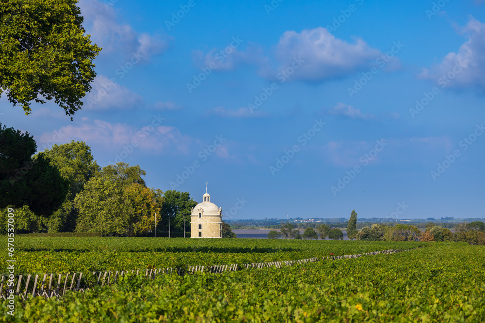 Typical vineyards near Chateau Latour, Bordeaux, Aquitaine, France Typical vineyards near Chateau Latour, Bordeaux, Aquitaine, France