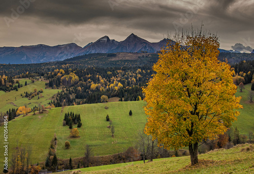 Jesień w Magurze Spiskiej w Osturni na Słowacji