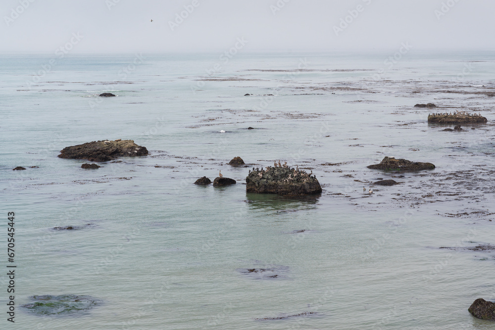 Fototapeta premium rocks and sea