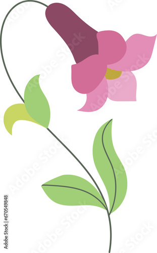 Purple trumpet flower illustration