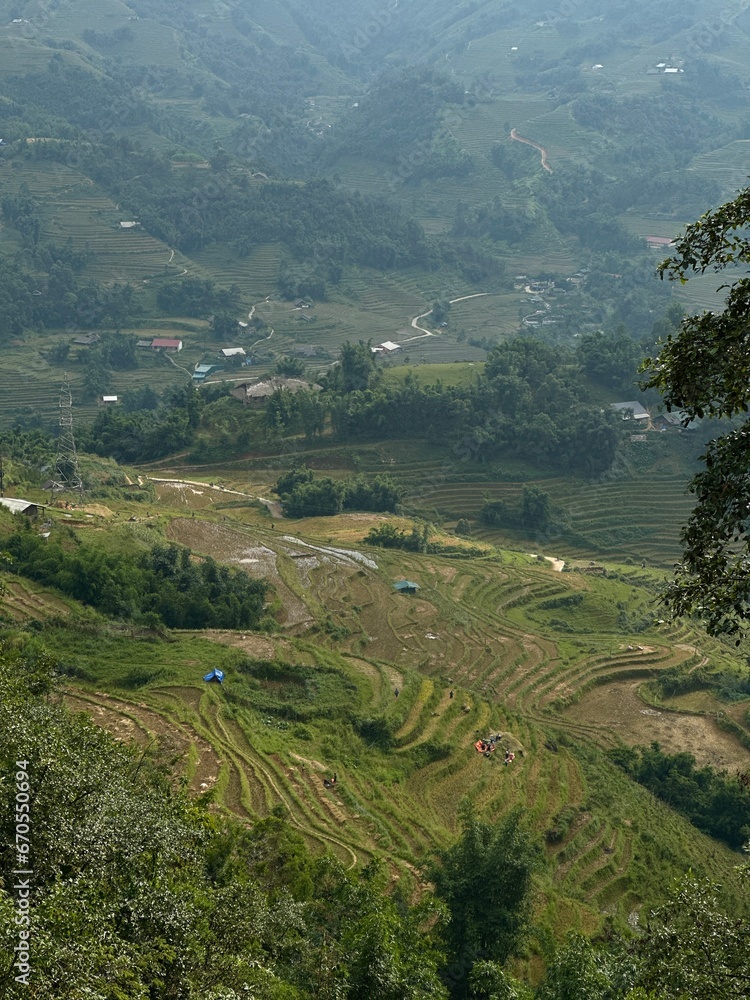Sapa Rice Hills in Vietnam