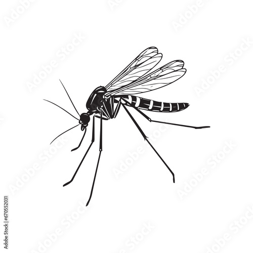 Mosquito Image Vector, Icon, Logo