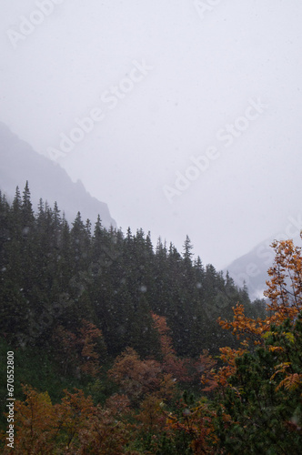 A serene and atmospheric depiction of the Dolina Roztoki in the Tatra Mountains, Poland. Gentle snowfall blankets the scene, obscuring the distant mountain peaks. Dense evergreen forests. photo