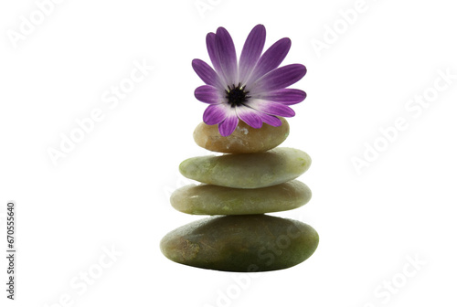 rocks in balance with pink flower transparent background