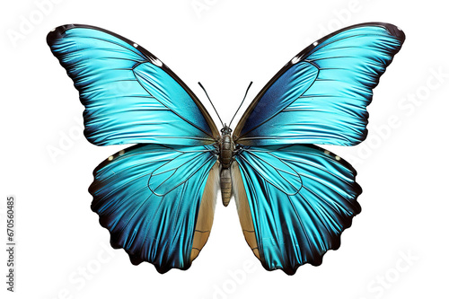 butterfly isolated on a Transparent background. Generative AI © STF Design 