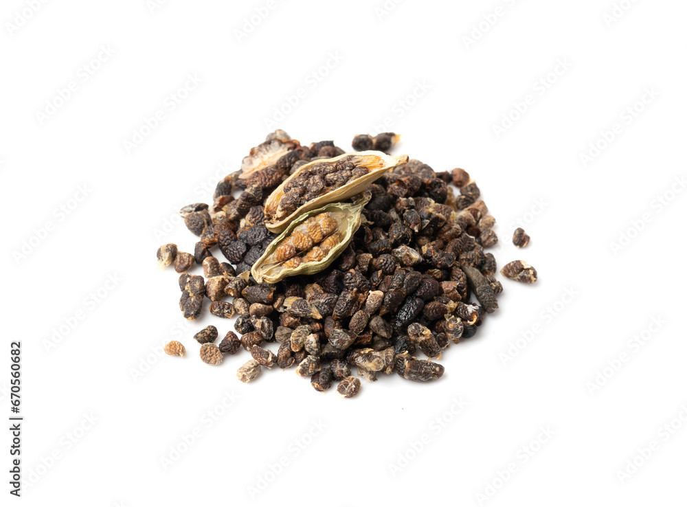 Cardamom Isolated, Green Cardamon Seeds, Dry Kardamon, Cardamum Spice, Genera Elettaria Beans Cardamom Isolated, Green Cardamon Seeds, Dry Kardamon, Cardamum Spice, Genera Elettaria Beans