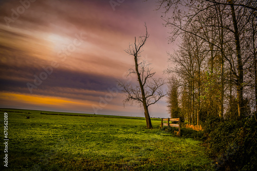 Quiet and colorful sunset in the woods