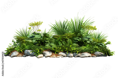 Garden design isolated on white background. Green plants for landscaping. Decorative shrub and flower bed
