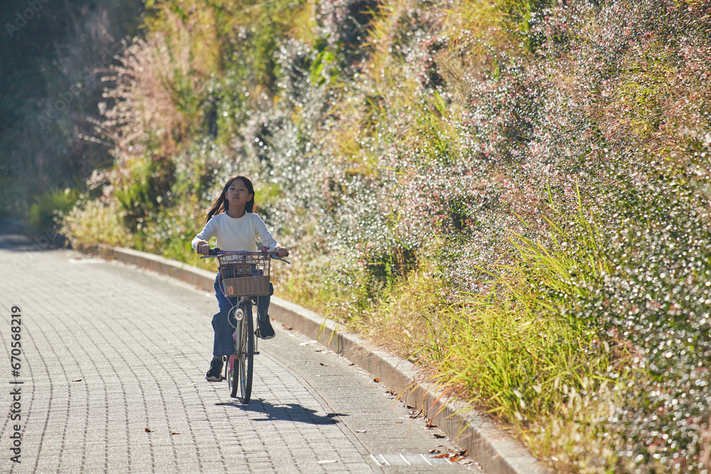 Obraz premium 秋の夕方の街で自転車を乗っている小学生の女の子の様子