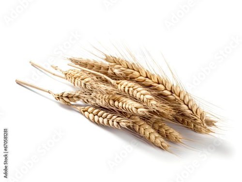 Wheat grains isolated on a white background.