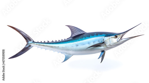 A side view photo of a swordfish on white background. © Jan