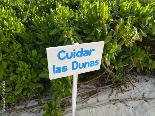 Sign that I don't understand in front of the patch of plants in Mexico