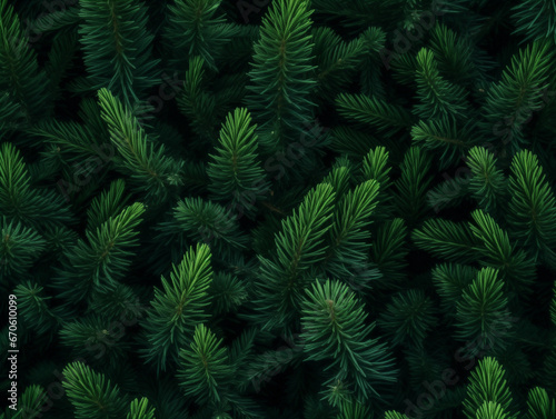 Green fern background