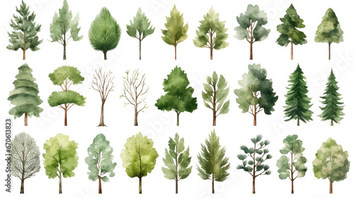 Set of Watercolor trees collection on transparent background
