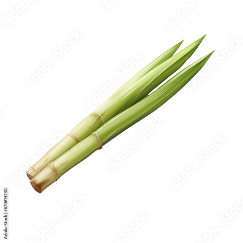 Sugar cane stalk on transparent background