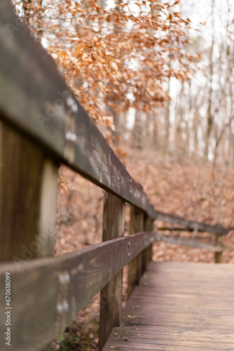wooden bridge in autumn