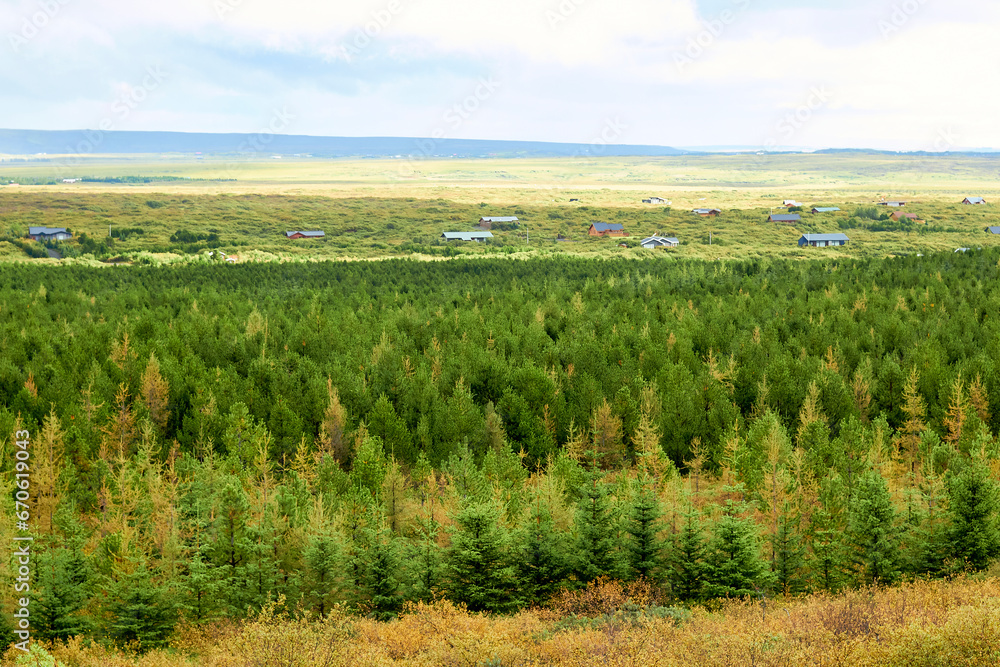 Naklejka premium Agricultural field with green crop, tree, and serene blue sky.