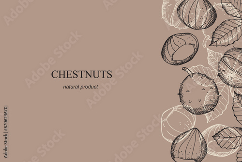 Chestnuts card template design hand drawn vector illustration. Background with leaves and fruits of chestnut plant for packaging, label, wrapping, print, paper. Organic product, food, sweet chestnut