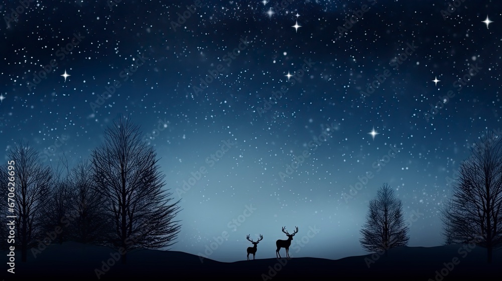 christmas photo of Starlit Night a dark sky Holiday decorations