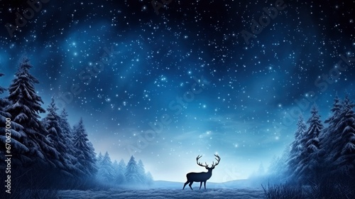 christmas photo of Starlit Night a dark sky Holiday baking