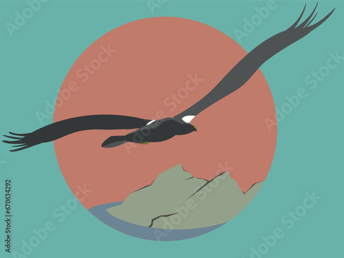 steller sea eagle bird vector illustration flat style